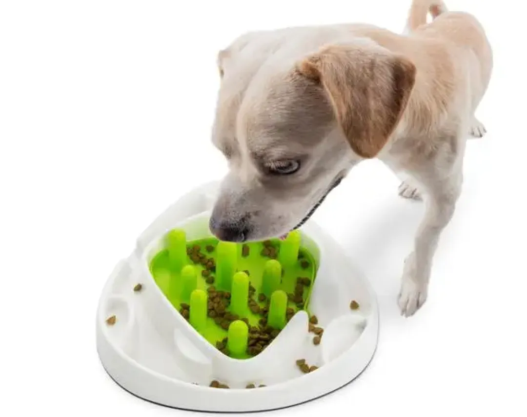 AFP All for paws AFP Interaktiv foder labyrint - sjovt aktivitetslegetøj til hunde