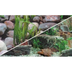 Hobby Akvariebaggrund Sten 1/2 (50 cm høj) 100 cm