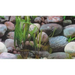 Hobby Akvariebaggrund Sten 1/2 (50 cm høj) 120 cm