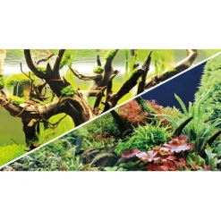 Hobby Akvariebaggrund Wood Island / Green secret (50 cm høj) 120 cm