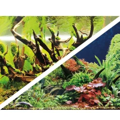 Hobby Akvariebaggrund Wood Island / Green secret (60 cm høj) pr meter