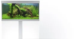 Akvastabil Fusion 325 liter akvarium