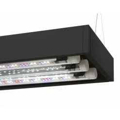 Aquael Akvarie og Lampe Ultra Scape 60 Forest