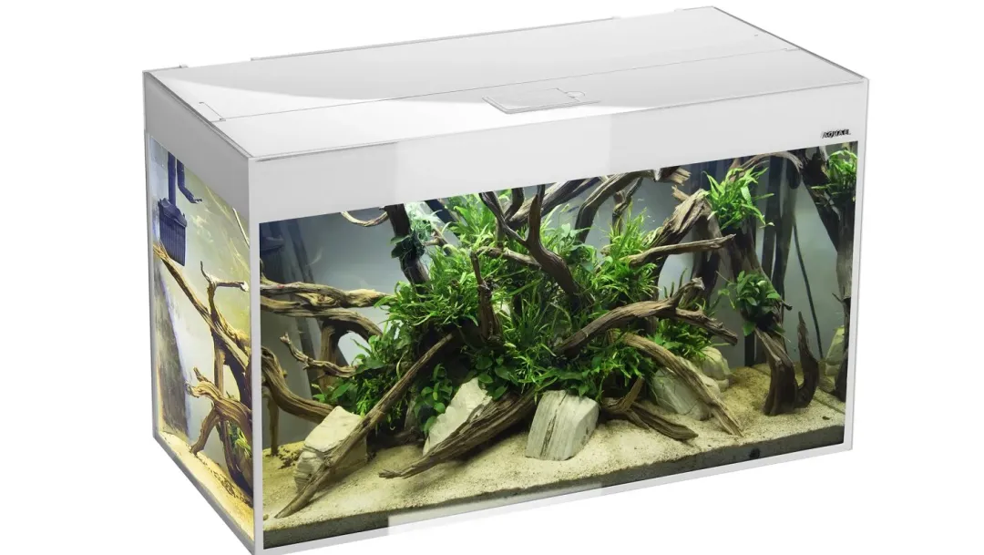 Aquael Glossy akvarie i Hvid 120 cm 260 Liter