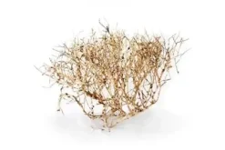 Dekoration til Akvarier og Terrarier Aquascaping Root 35-45 cm