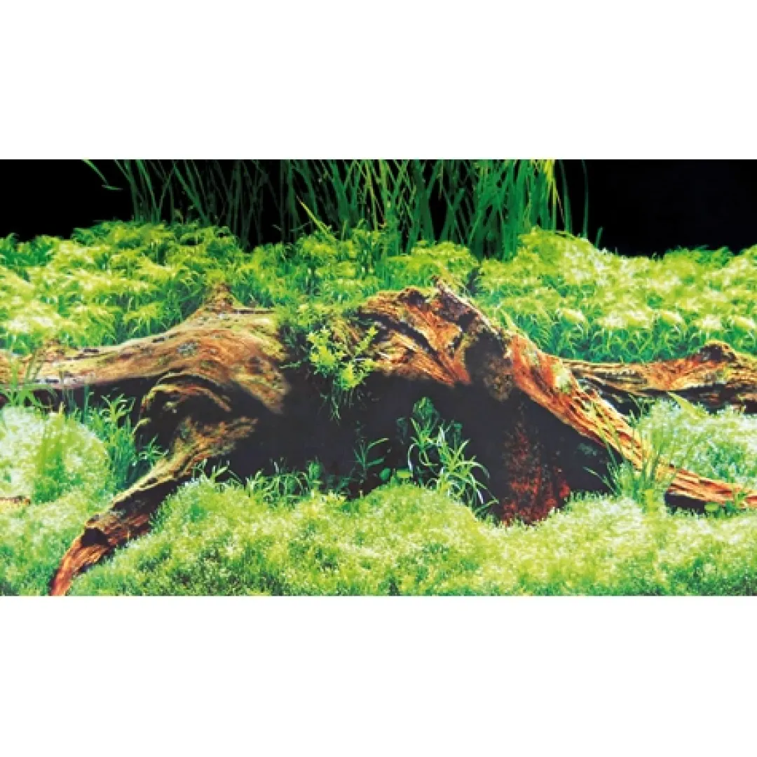 Hobby Baggrund til akvarium Beplantet og mos (50 cm høj) 100 cm