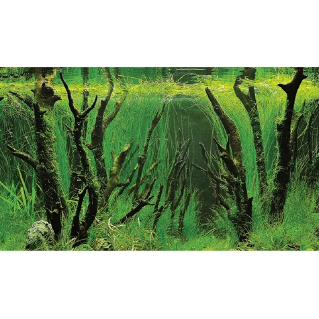 Hobby Baggrund til akvarium Canyon og Woodland (30 cm høj) 60 cm