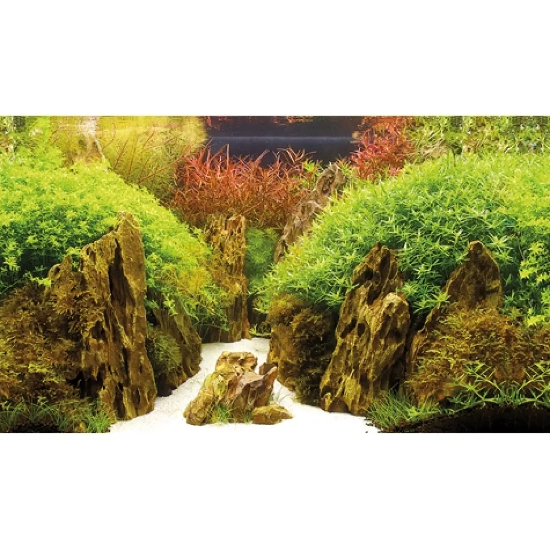 Hobby Baggrund til akvarium Canyon og Woodland (30 cm høj) 60 cm