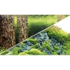Hobby Baggrund til akvarium Scapers Hill og forest (50 cm høj) 100 cm