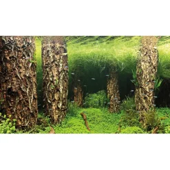 Hobby Baggrund til akvarium Scapers Hill og forest (50 cm høj) 120 cm