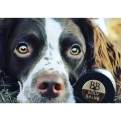B&B Økologisk Hundeshampoo B&B Sølvsalve 60 ml