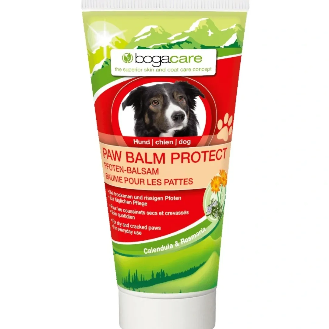 Bogadent Bogacare Paw Balm Protect dog
