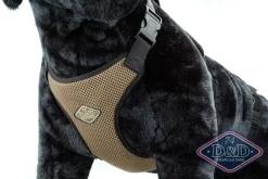 Europet Bernina International B.V. D & D All Season Hundesele L - Hals 50-71 cm livvidde 62-84 cm