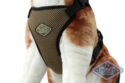 Europet Bernina International B.V. D & D All Season Hundesele L - Hals 50-71 cm livvidde 62-84 cm