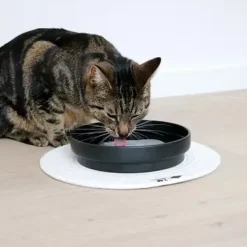 D&D Home D&D CAT Keramisk Drikkeskål (L) ACE Ø20 cm. Sort