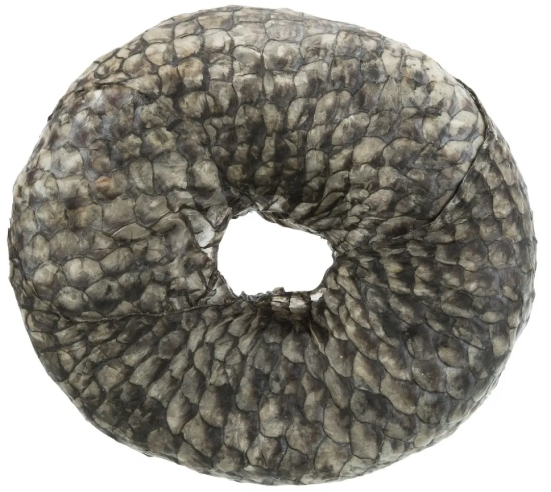 Trixie Denta Fun Tyggering med Fisk Ø 10 cm - sund hundesnack