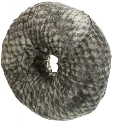 Trixie Denta Fun Tyggering med Fisk Ø 10 cm - sund hundesnack