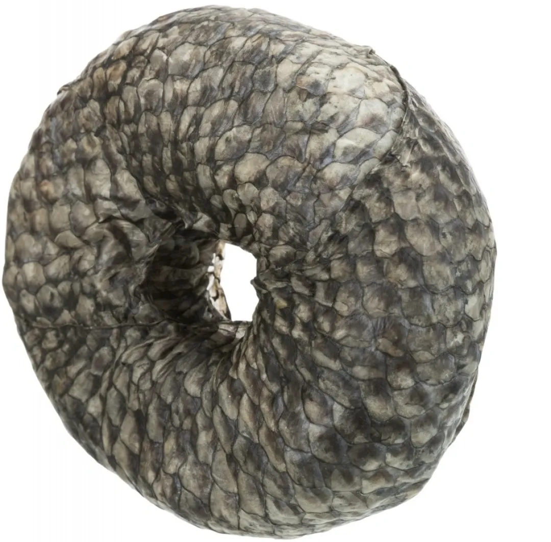 Trixie Denta Fun Tyggering med Fisk Ø 10 cm - sund hundesnack