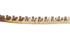 Trixie Denta Fun Veggie Tyggeben 12 cm (vegetabilsk) - sundt og vegansk tyggeben til hunde