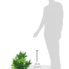 ExoTerra Exo Terra Abuliton stor