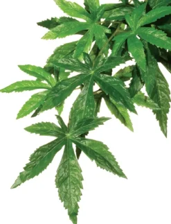 ExoTerra Exo Terra Abutilon lille