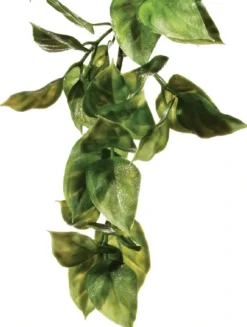 ExoTerra Exo Terra Amapallo stor