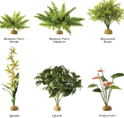 ExoTerra Exo Terra Anthurium bush