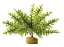 ExoTerra Exo Terra Boston Fern (lille)