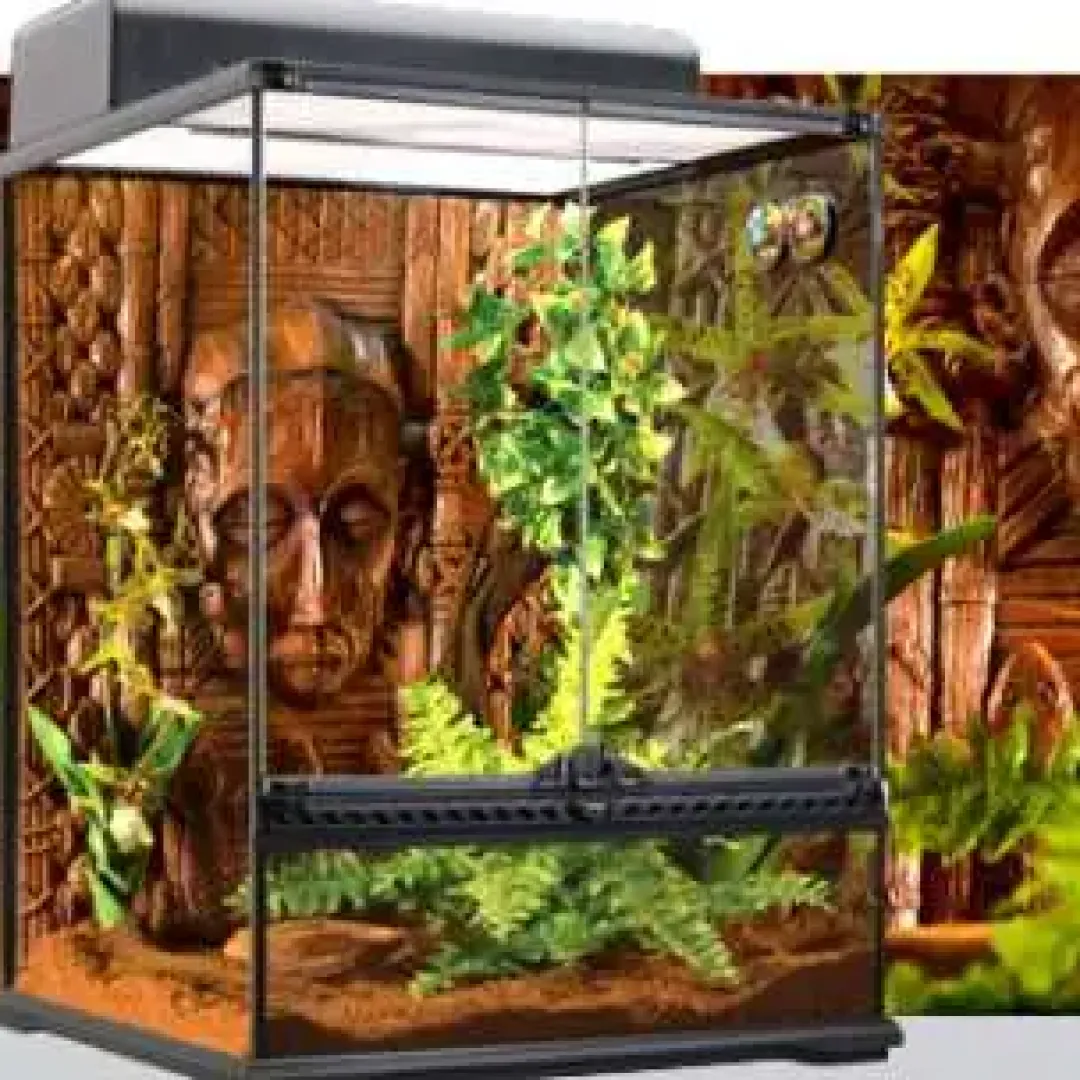 ExoTerra Exo Terra Boston Fern (medium)