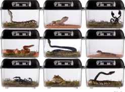 ExoTerra Exo Terra Breeding box (lille)