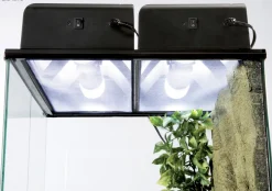 ExoTerra Exo Terra Compact Top Lampe 60 cm