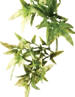 ExoTerra Exo Terra Croton lille