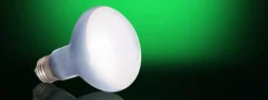 ExoTerra Exo Terra Day Glo Spot 100 w med UVA