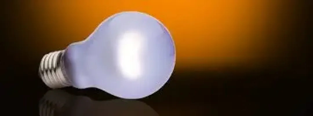 ExoTerra Exo Terra Day Glo 60 watt med UVA