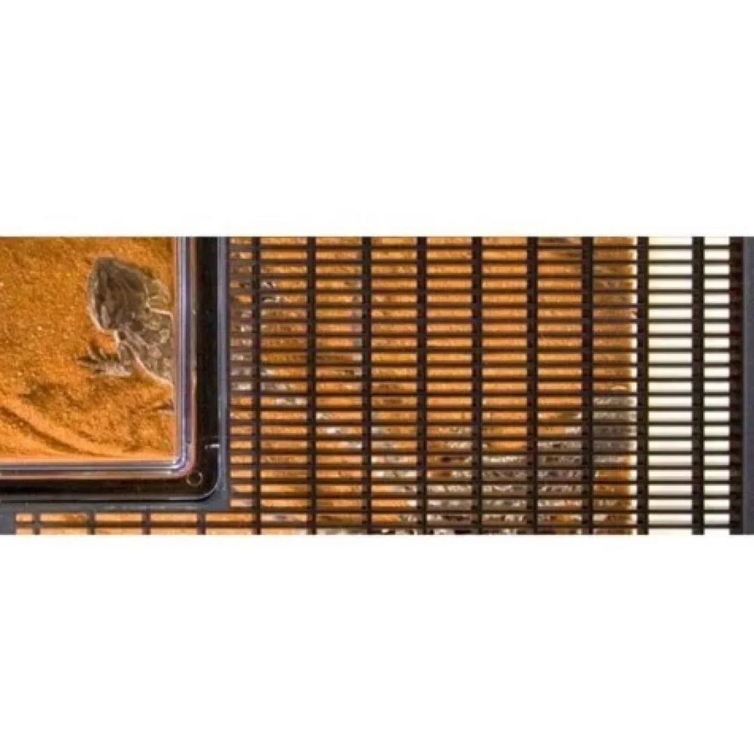 ExoTerra Exo Terra Faunarium stor (HPT2265)