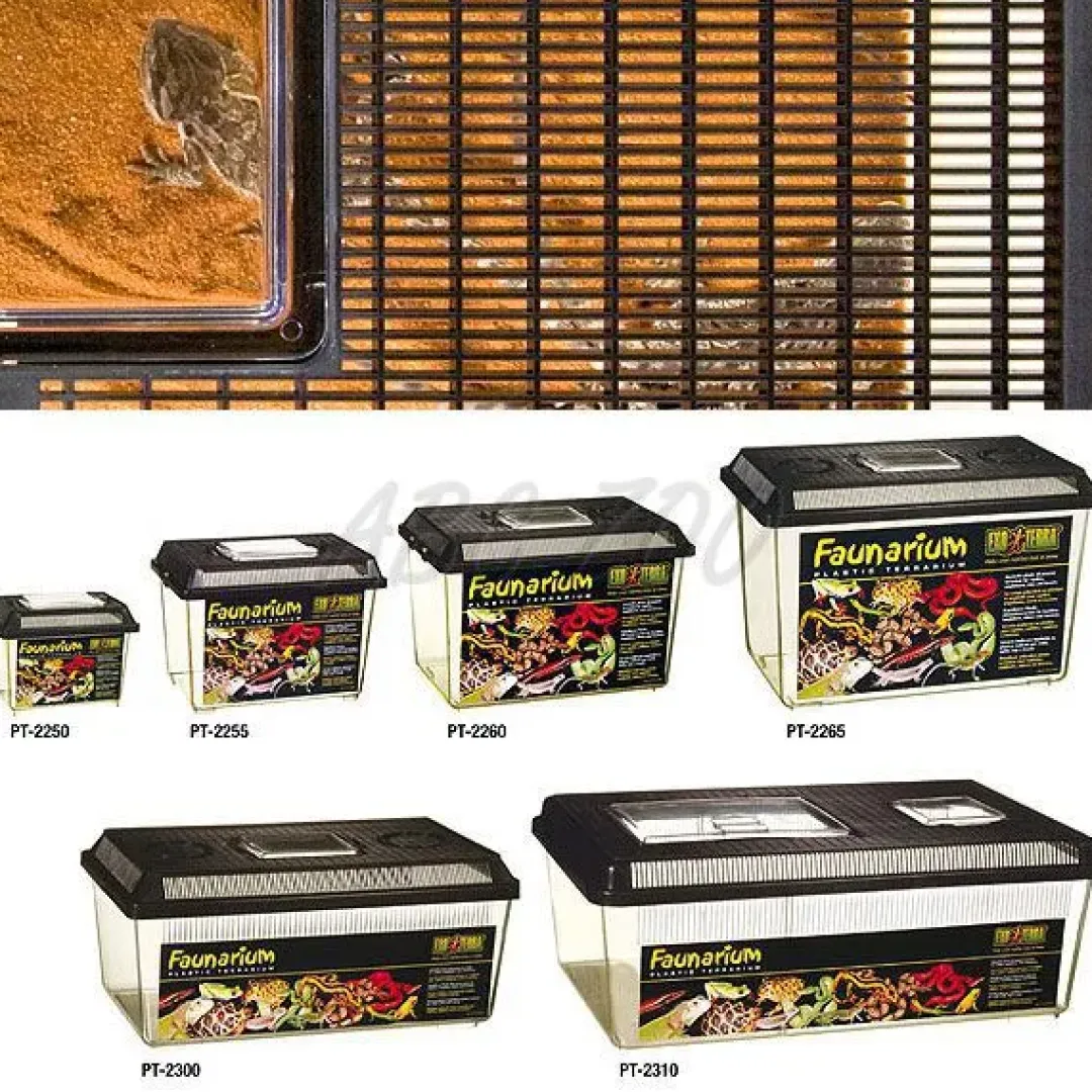 ExoTerra Exo Terra Faunarium stor (HPT2265)