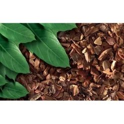 ExoTerra Exo Terra Forest Bark 8,8 liter