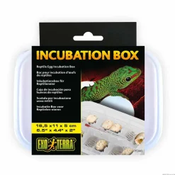 ExoTerra Exo Terra Incubation Box - Sikker rugning af reptilæg