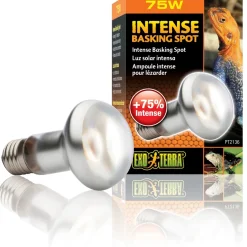 ExoTerra Exo Terra Intense Basking Spot 75 W - Effektiv UVA-varmespot til terrarier