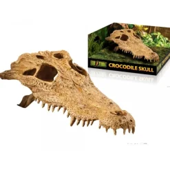 ExoTerra Exo Terra Krokodille kranie