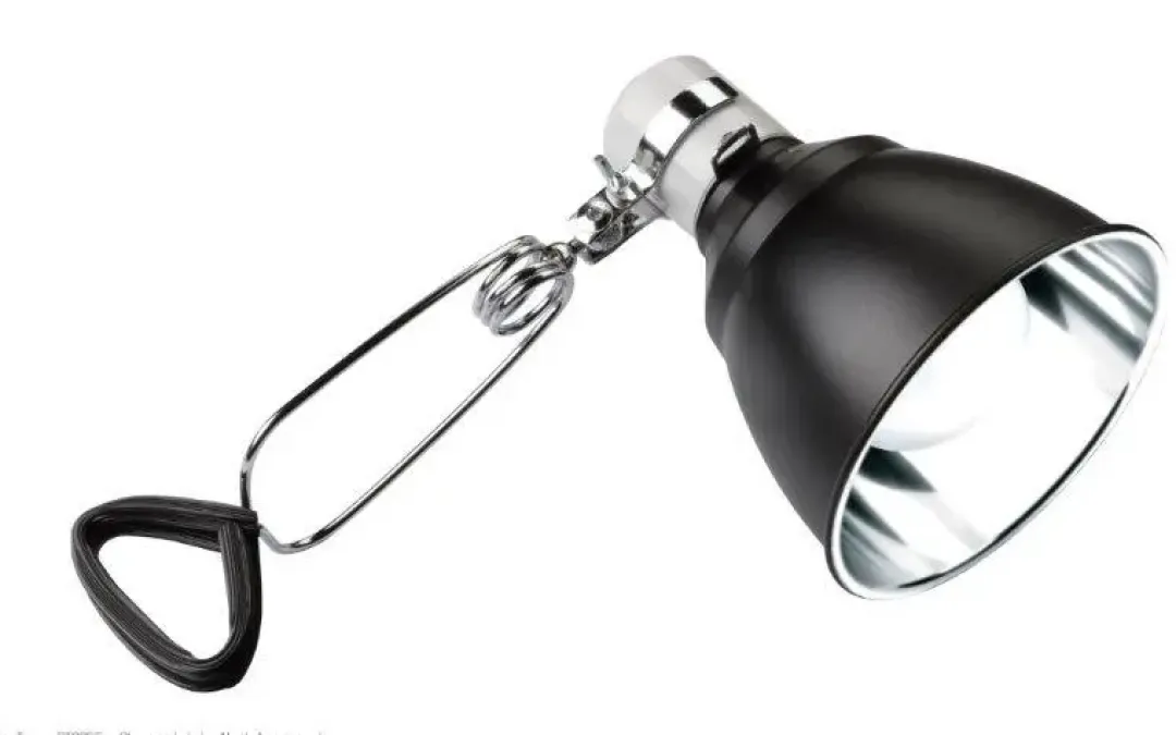 ExoTerra Exo Terra Light Dome lille