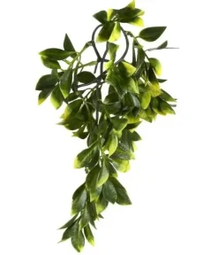 ExoTerra Exo Terra Mandarin lille