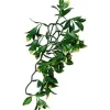 ExoTerra Exo Terra Mandarin medium