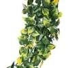 ExoTerra Exo Terra Mandarin stor