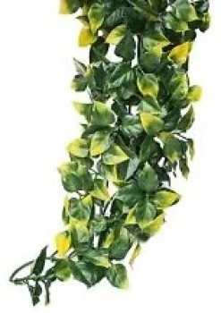 ExoTerra Exo Terra Mandarin stor