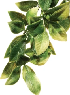 ExoTerra Exo Terra Mandarin stor