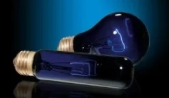 ExoTerra Exo Terra Night Glo 50 w