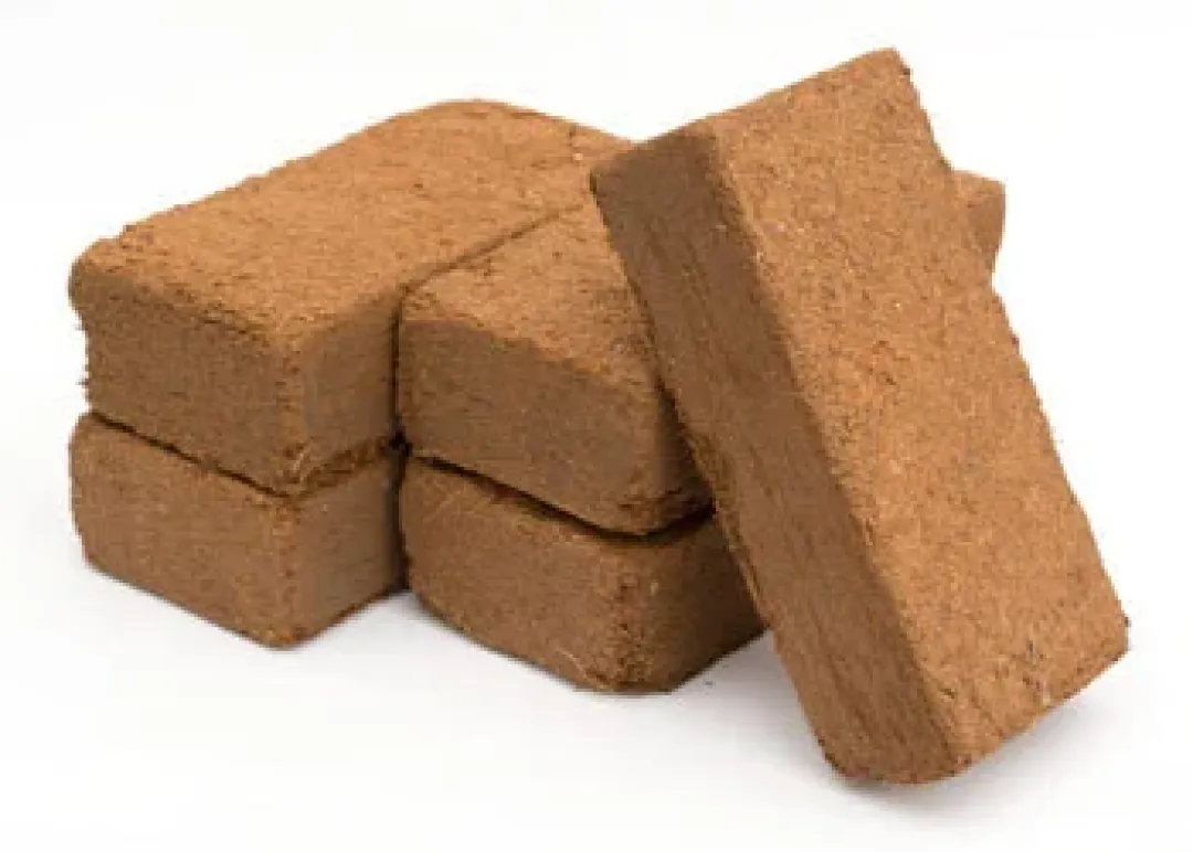 ExoTerra Exo Terra Plantation Soil 650 g x 3