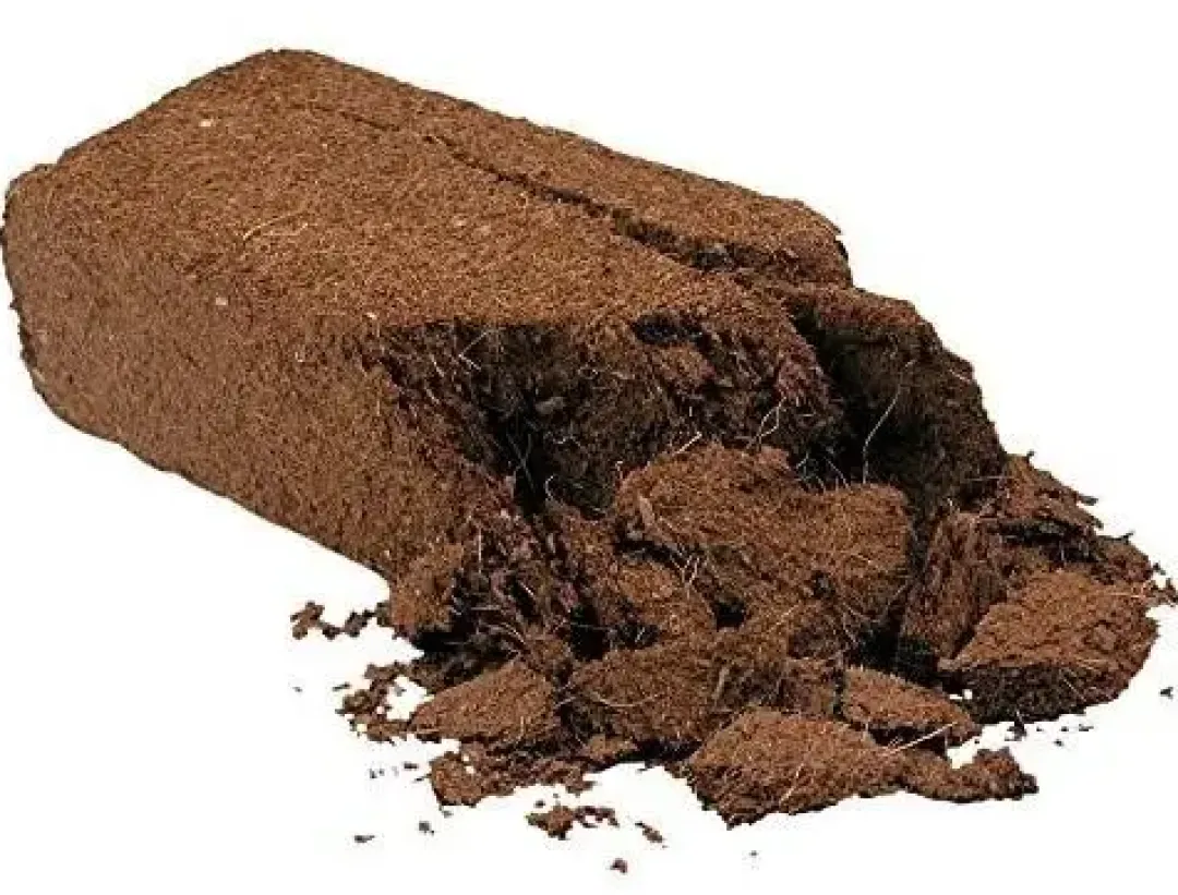 ExoTerra Exo Terra Plantation Soil 650 g x 3