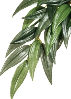 ExoTerra Exo Terra Ruscus lille